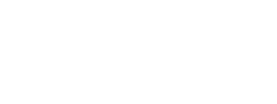 kingbet9-payment-method-payid-logo